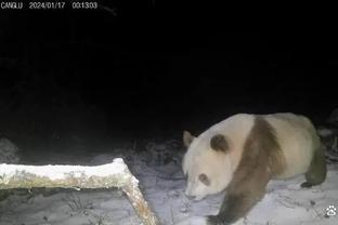 ?谁能直通奥运？男篮世界杯亚洲&大洋洲各队球星卡通照